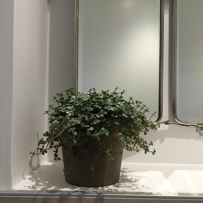 Les Chambres De L'Imprimerie ボーヌ 部屋 写真